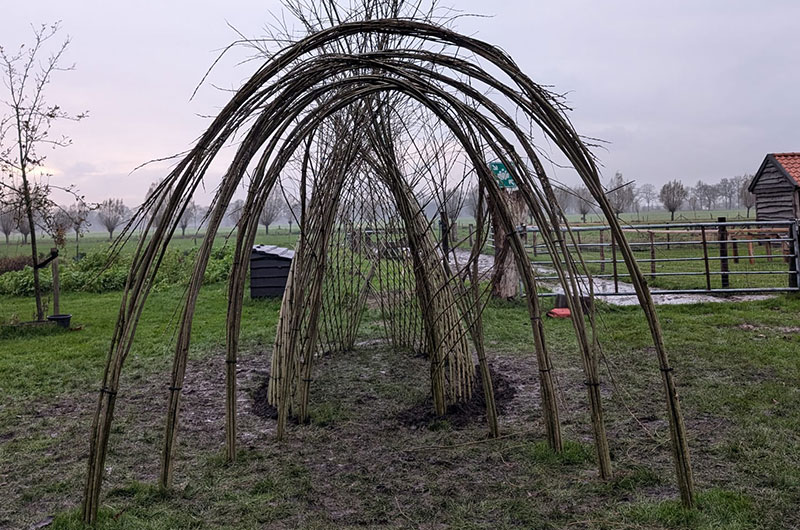 Wilgenhut bouwen op tv met Bouwie voor BinnesteBuiten KNRO NCRV