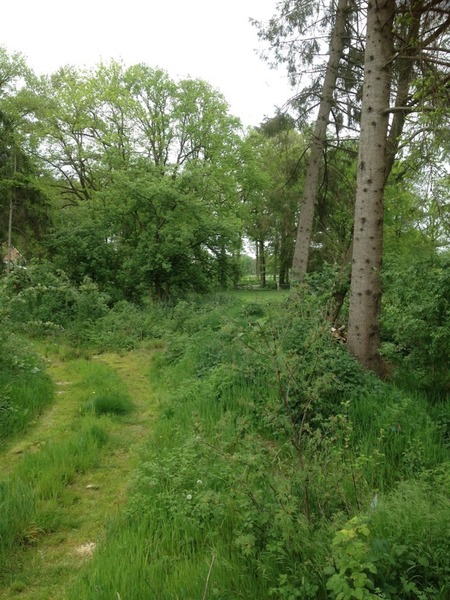 Weekendworkshop aanleg en beheer van een voedselbos