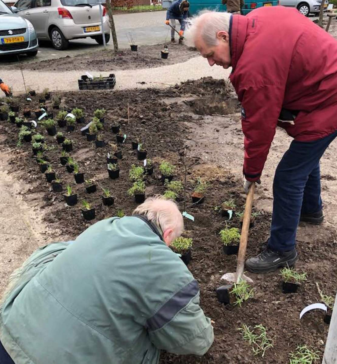 300m2 plukstroken aangelegd in binnentuin ZGR Swaenewoerd 