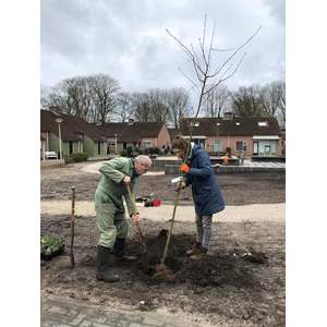 300m2 plukstroken aangelegd in binnentuin ZGR Swaenewoerd 