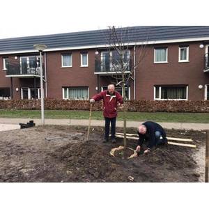 300m2 plukstroken aangelegd in binnentuin ZGR Swaenewoerd 