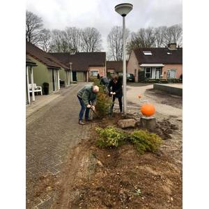 300m2 plukstroken aangelegd in binnentuin ZGR Swaenewoerd 