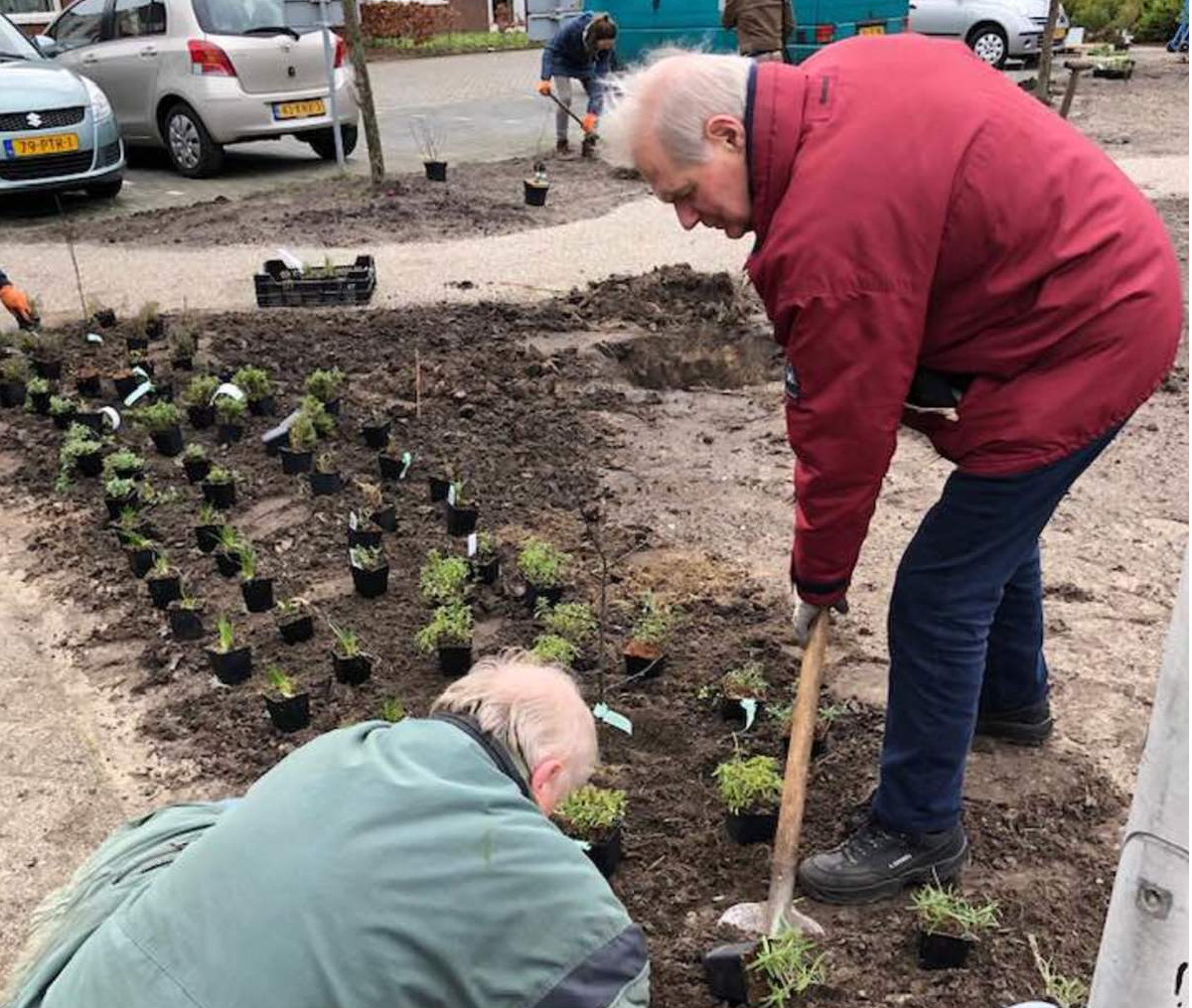 Raalte plukt! legt meerdere plukstroken aan in binnentuin ZGR Swaenewoerd