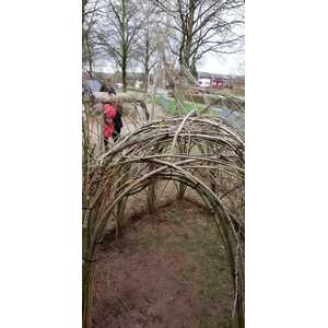 Wilgenhut op schoolplein