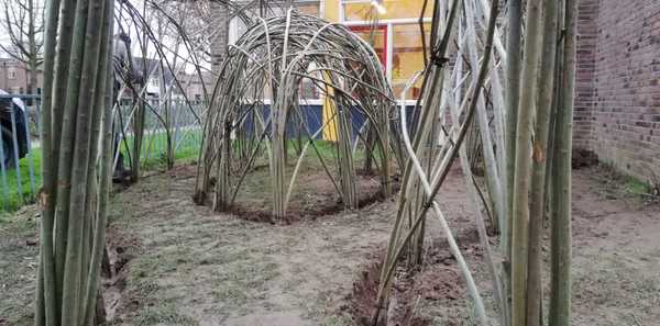 Wilgenhut op schoolplein