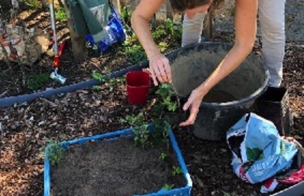  Onderhoud en vergroten biodiversiteit