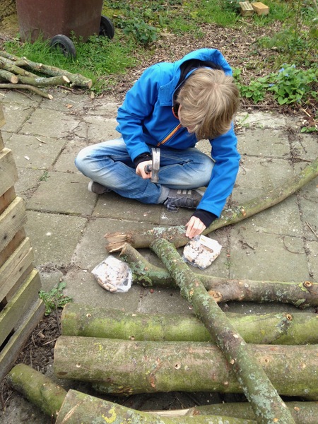 Workshop eetbare paddenstoelen kweken