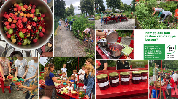 Jam gemaakt bij pluktuin Blekkerhoek