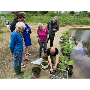 Workshop Eetbare vijver