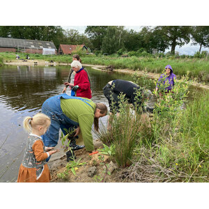 Workshop Eetbare vijver